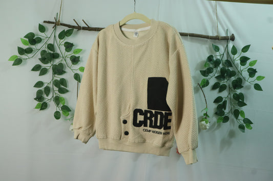 Round Neck Full Sleeve Sweatshirt-beige-boys