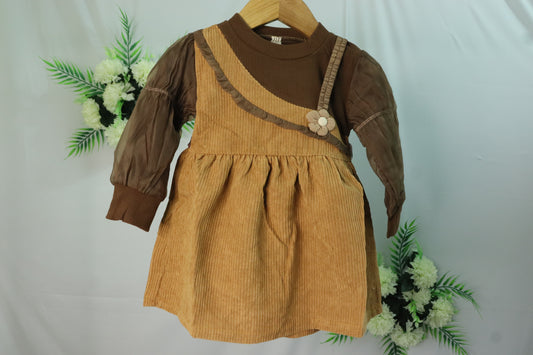 Frock with organza sleeves-brown